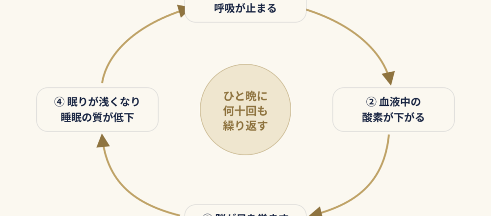 睡眠時無呼吸の悪循環を示す図。①のどがふさがり呼吸が止まる→②血液中の酸素が下がる→③脳が目を覚ます（覚醒）→④眠りが浅くなり睡眠の質が低下、という流れがひと晩に何十回も繰り返されることを表す。