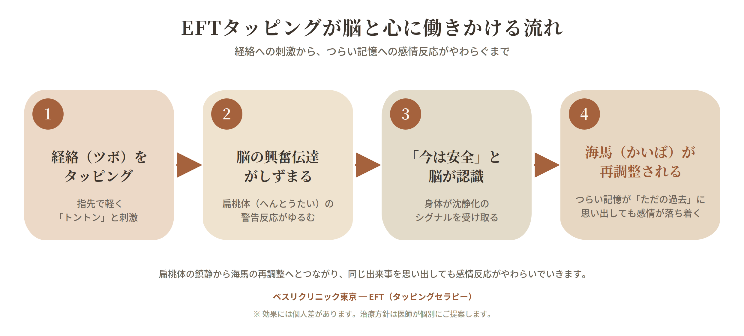 EFT（タッピングセラピー）が脳と心に働きかける流れを示した4ステップの図。①経絡（ツボ）を指先で軽く『トントン』とタッピングする、②脳の興奮伝達がしずまり、扁桃体（へんとうたい）の警告反応がゆるむ、③脳が『今は安全』と認識し、身体が沈静化のシグナルを受け取る、④海馬（かいば）が再調整され、つらい記憶が『ただの過去』になり、思い出しても感情が落ち着く——という順に進む。扁桃体の鎮静から海馬の再調整へとつながり、同じ出来事を思い出しても感情反応がやわらいでいくことを表している。