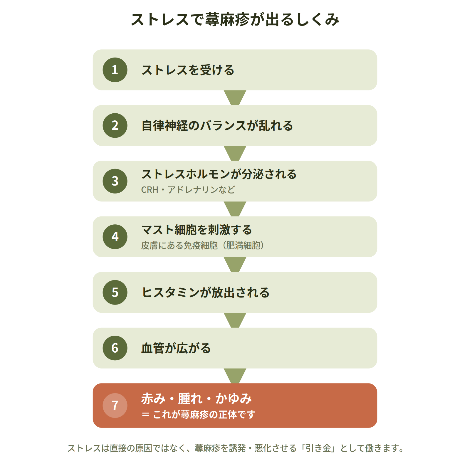 ストレスから自律神経の乱れ・ヒスタミン放出を経て蕁麻疹(赤み・腫れ・かゆみ)が起こるまでのメカニズム図"