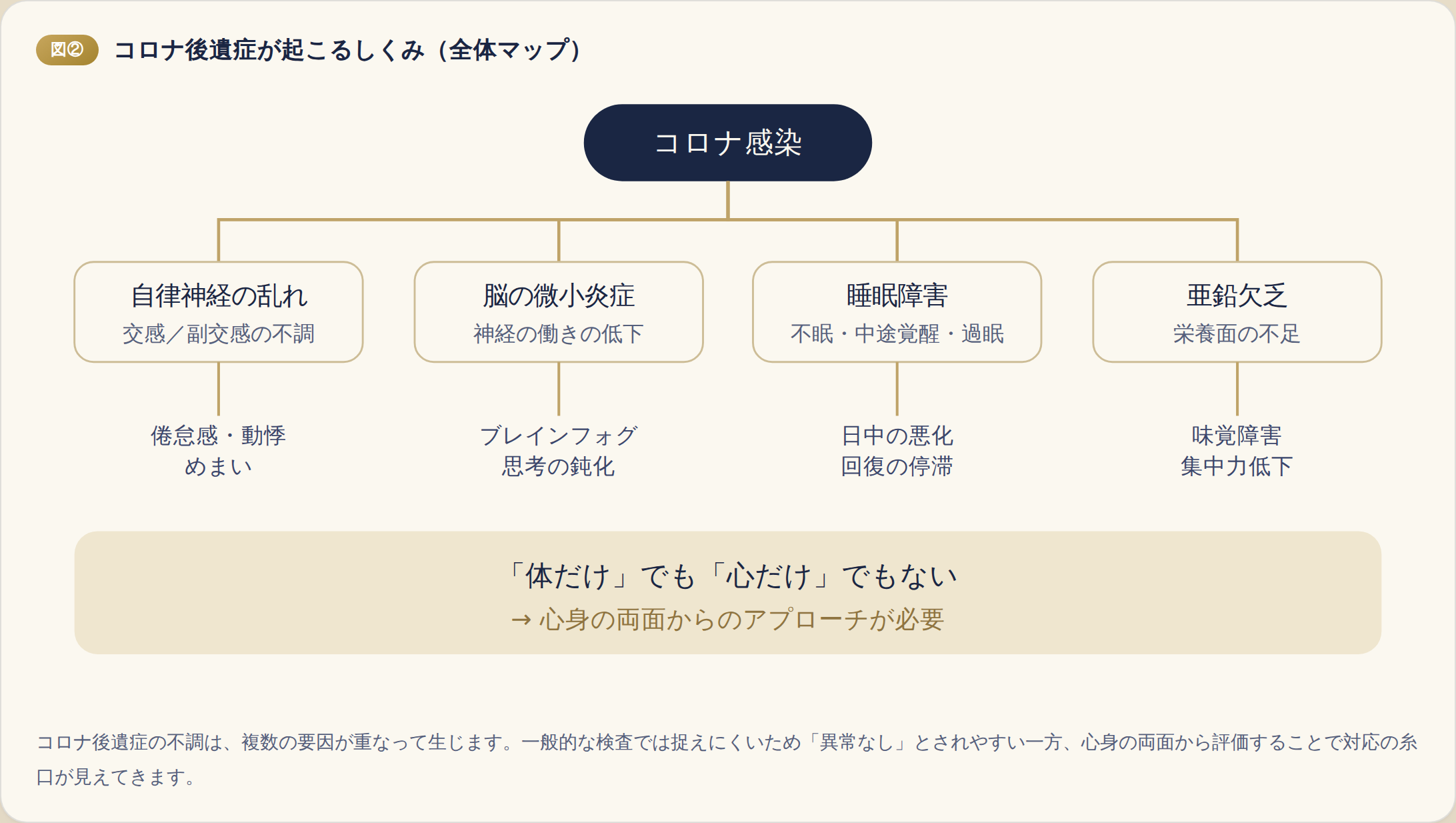 コロナ後遺症が起こるしくみの全体図。コロナ感染が「自律神経の乱れ」「脳の微小炎症」「睡眠障害」「亜鉛欠乏」の4つの経路を引き起こし、それぞれ倦怠感・動悸・めまい、ブレインフォグ・思考の鈍化、日中の悪化・回復の停滞、味覚障害・集中力低下といった症状につながること、そして心身の両面からのアプローチが必要であることを示す図。