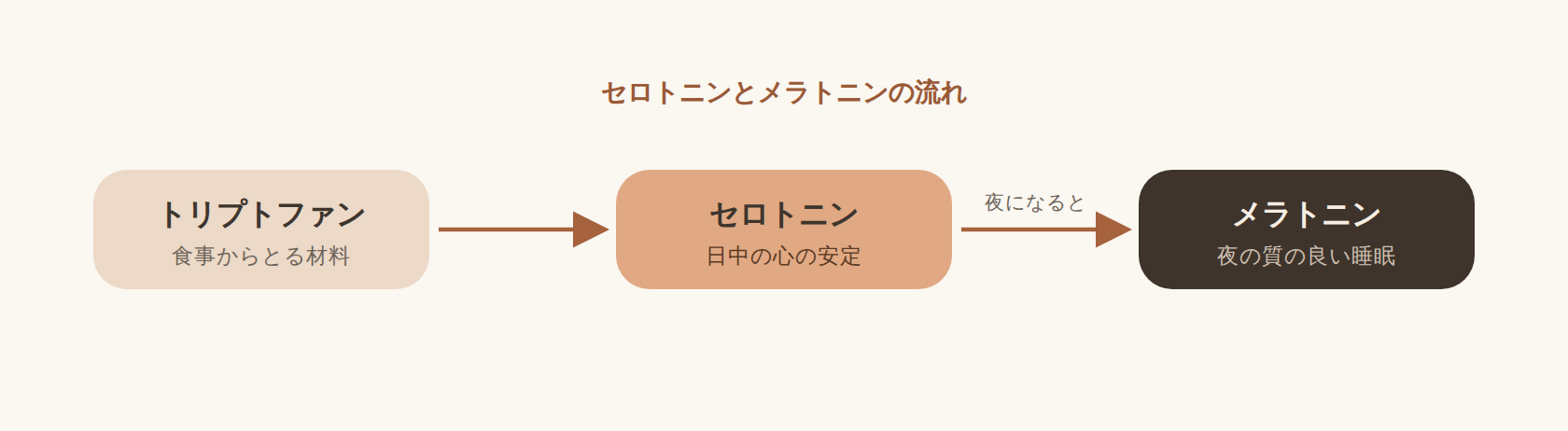 セロトニンとメラトニンの生成の流れを示す図。左から右へ3段階で表示。第1段階は『トリプトファン（食事からとる材料）』。矢印で第2段階の『セロトニン（日中の心の安定）』へつながり、さらに『夜になると』という説明とともに矢印で第3段階の『メラトニン（夜の質の良い睡眠）』へ変化する流れを示している。食事からとった必須アミノ酸トリプトファンが、日中は脳内でセロトニンになり、夜にはそのセロトニンが睡眠ホルモンのメラトニンへ変わることを表す。