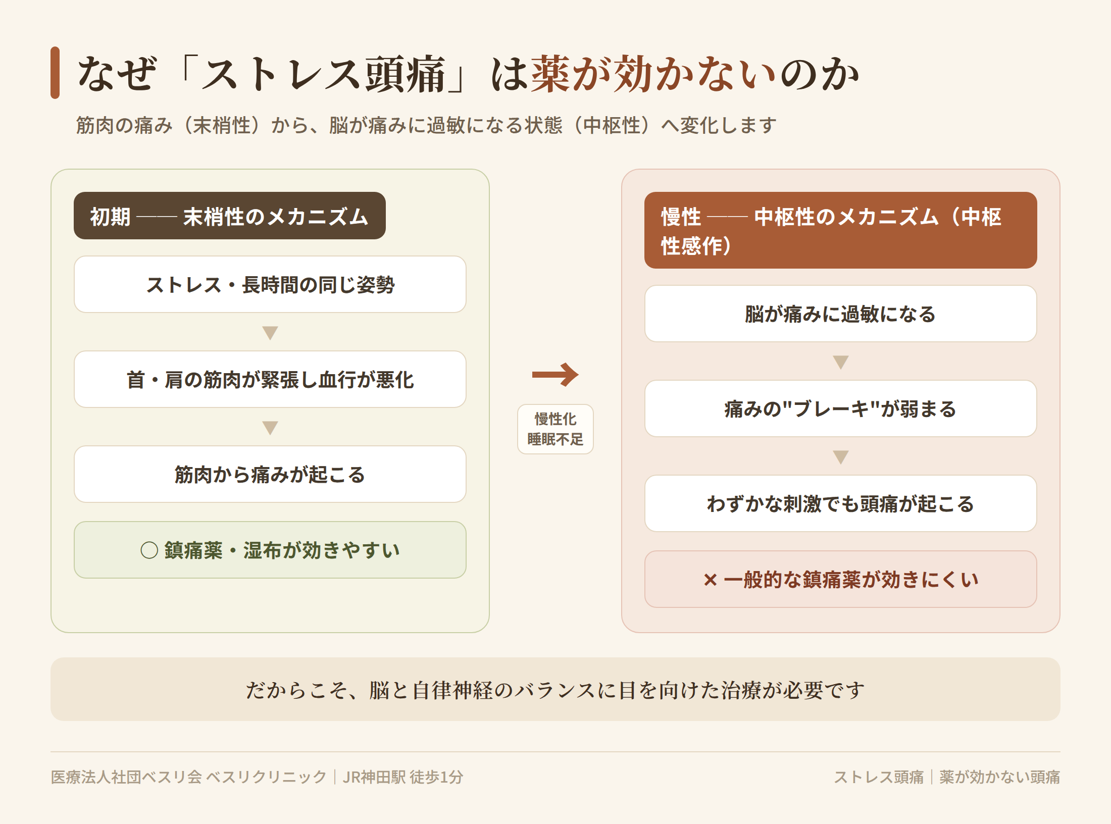 ストレス頭痛で薬が効かない理由の図解。首・肩の筋肉による末梢性の痛みから、脳が痛みに過敏になる中枢性感作へ慢性化する流れ
