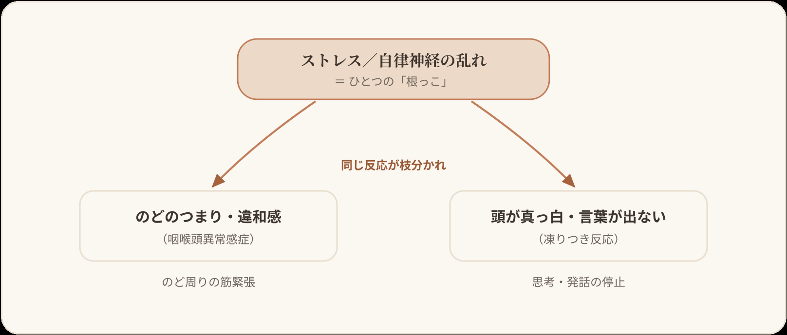 「のどのつまり」と「頭が真っ白」が同じ原因でつながることを示す分岐図。中央上の「ストレス/自律神経の乱れ(ひとつの根っこ)」から、左の「のどのつまり・違和感(咽喉頭異常感症/のど周りの筋緊張)」と右の「頭が真っ白・言葉が出ない(凍りつき反応/思考・発話の停止)」の2つの症状へ枝分かれする。