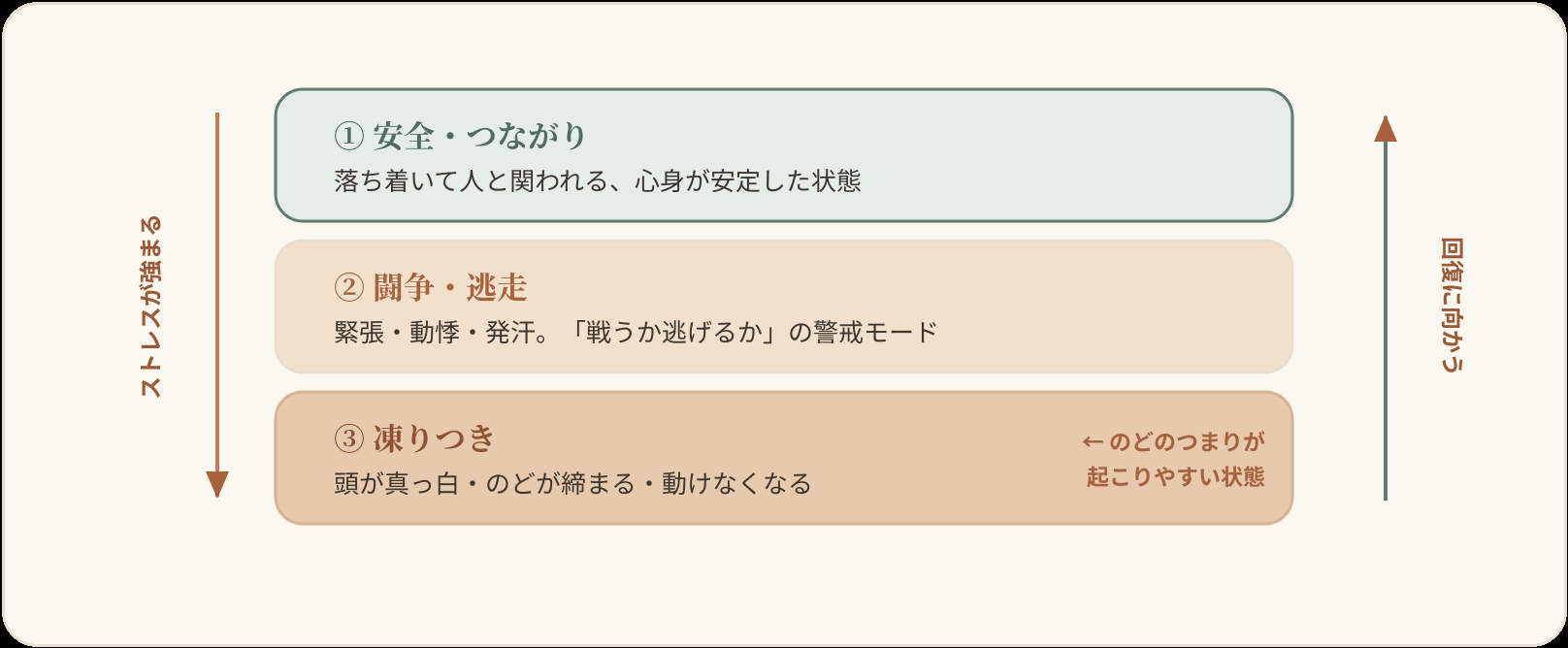 ポリヴェーガル理論にもとづく自律神経の3段階を上から下へ並べたはしごの図。①安全・つながり(落ち着いて人と関われる安定した状態)、②闘争・逃走(緊張・動悸・発汗の警戒モード)、③凍りつき(頭が真っ白・のどが締まる、強い負荷で動けなくなる反応)。下へ向かうほどストレスが強まり、上へ向かうほど回復に向かう。のどのつまりは③凍りつきで起こりやすい。
