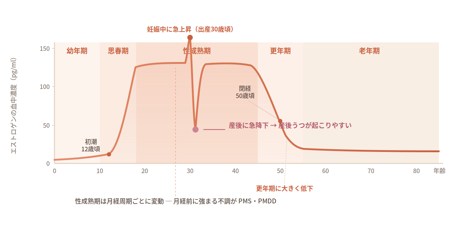 女性の生涯におけるエストロゲン（女性ホルモン）の血中濃度の変化を示した模式グラフ。横軸は年齢0〜80歳、縦軸はエストロゲン濃度（pg/ml、0〜150）。幼年期は低く、思春期の初潮（12歳頃）から上昇し、性成熟期（20〜40代）は高い水準で月経周期ごとに増減を繰り返す。妊娠中（出産30歳頃）に急上昇し、出産後に急降下する。閉経（50歳頃）前後の更年期（45〜55歳）に大きく低下し、老年期は低いまま推移する。ホルモンが急に下がる産後・更年期、および毎月変動する月経前（PMS・PMDD）に、心の不調が起こりやすいことを示す。