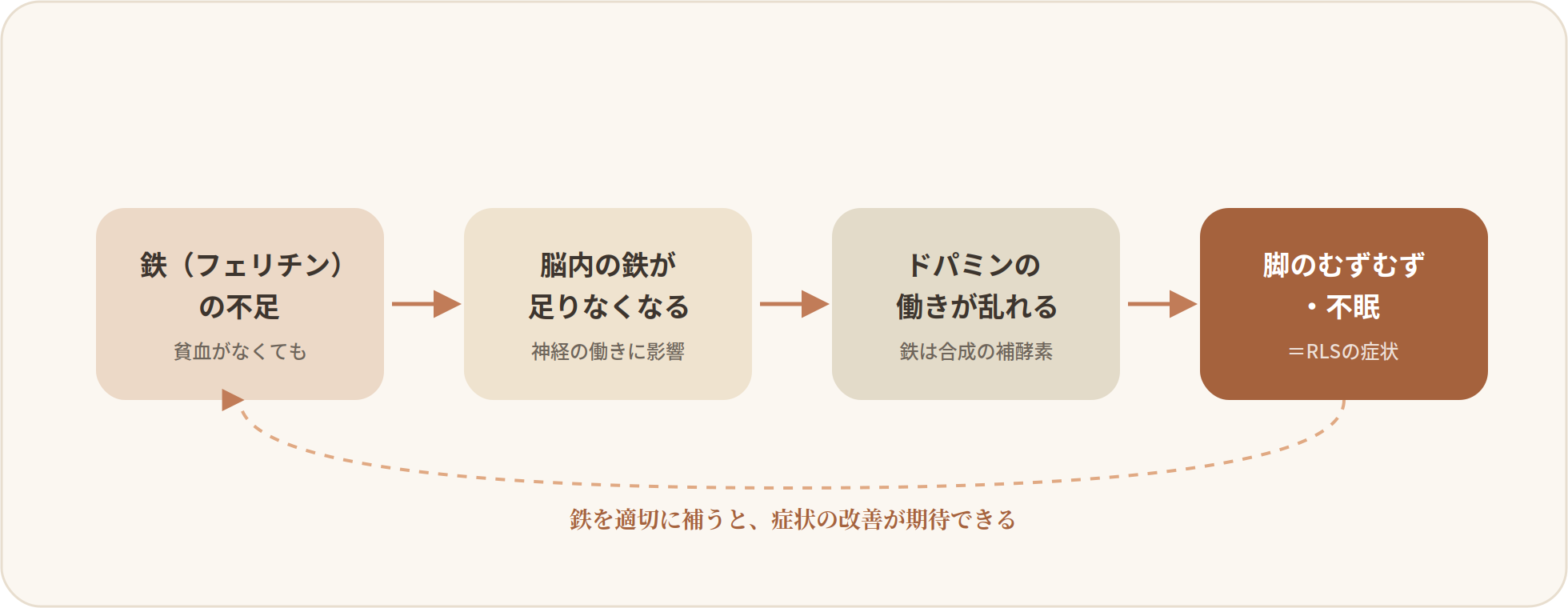 鉄欠乏がむずむず脚症候群の症状につながる仕組みを示す流れ図。鉄（フェリチン）の不足は貧血がなくても起こり、脳内の鉄不足を招いて神経の働きに影響する。鉄はドパミン合成の補酵素のため、ドパミンの働きが乱れ、脚のむずむずや不眠といったRLSの症状が現れる。鉄を適切に補うと症状の改善が期待できることも示している。