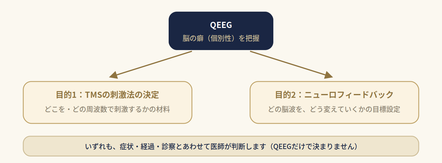 QEEGの結果が、ニューロフィードバックの訓練目標の設定と、TMSの刺激部位・刺激法の検討という2つの用途へつながることを示した図。診断名を決める用途は含まれていない。</figure>
    </div>
  </section>




  <section class=